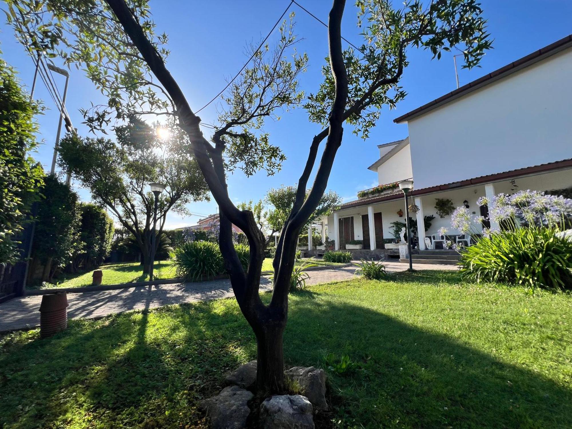 Giardino Degli Aranci B&B La Massimina-Casal Lumbroso 외부 사진
